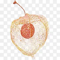 װ�ι��������ز�-������