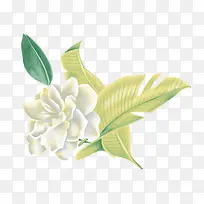 花国画-空若网 花国画-空若网