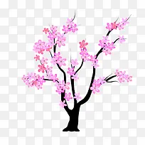 ÷»¨Ê÷-¿ÕÈôÍø ÷»¨Ê÷-¿ÕÈôÍø