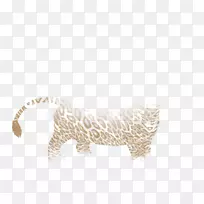 大型猫科食肉动物-狮子舞-空若网 大型猫科食肉动物-狮子舞-空若网