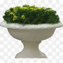 ������Ӱ��԰�Ļ�̳԰��Ч��-������