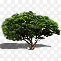 高清创意公园花坛摄影植物-空若网 高清创意公园花坛摄影植物-空若网