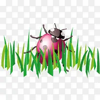 ����ư��-������