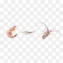 食物海鲜-空若网 食物海鲜-空若网