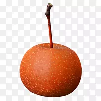 贵州兴义梨亚洲-亚洲带茎梨果实-空若网 贵州兴义梨亚洲-亚洲带茎梨果实-空若网