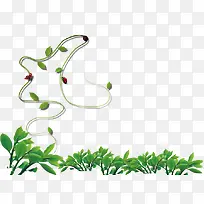 ����С��-������