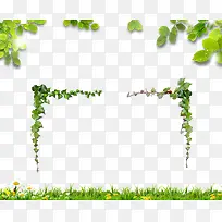 树叶 藤蔓 小草-空若网 树叶 藤蔓 小草-空若网