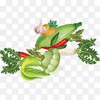 人类维生素吸收的食物-空若网 人类维生素吸收的食物-空若网