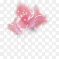 彩色花漂浮-空若网 彩色花漂浮-空若网