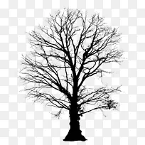 Adobe系统教程-剪影-空若网 Adobe系统教程-剪影-空若网