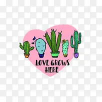 手绘仙人掌-空若网 手绘仙人掌-空若网