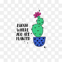 手绘仙人掌-空若网 手绘仙人掌-空若网