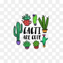 手绘仙人掌-空若网 手绘仙人掌-空若网