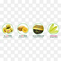 水果活动标签-空若网 水果活动标签-空若网