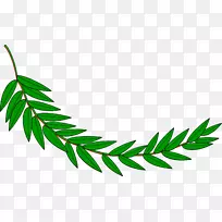 ��֦���¹������-����-������