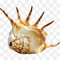 海底动物-空若网 海底动物-空若网