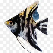 ���׶���-������