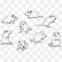 �ֻ濨ͨ����-������