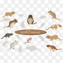 �ʻ�ɰ�������-������