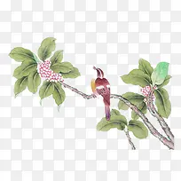 国画花鸟-空若网 国画花鸟-空若网