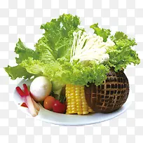 蔬菜-空若网 蔬菜-空若网