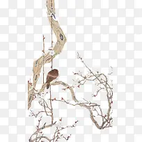 树和鸟-空若网 树和鸟-空若网