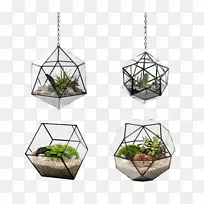 花盆水族玻璃android植物盆栽墙-空若网 花盆水族玻璃android植物盆栽墙-空若网