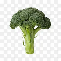 蔬菜-空若网 蔬菜-空若网