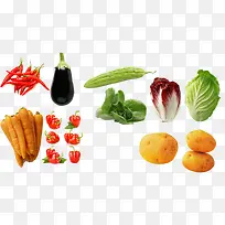 ÐÂÏÊÊß²Ë-¿ÕÈôÍø ÐÂÏÊÊß²Ë-¿ÕÈôÍø