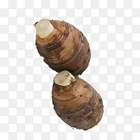 芋头-空若网 芋头-空若网