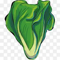绿色手绘生菜-空若网 绿色手绘生菜-空若网