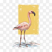 ʸÁ¿»ðÁÒÄñ-¿ÕÈôÍø ʸÁ¿»ðÁÒÄñ-¿ÕÈôÍø