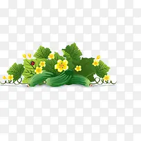 绿色蔬菜-空若网 绿色蔬菜-空若网