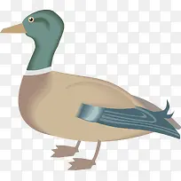 ��ͨѼ��-������