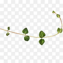 写实童话素材-空若网 写实童话素材-空若网