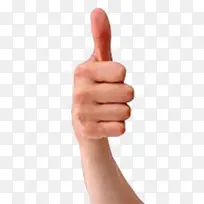 手指-空若网 手指-空若网