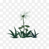 动画风格花-空若网 动画风格花-空若网