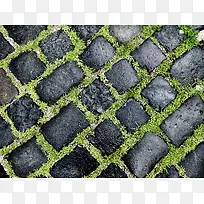 ��ש��ݵر���-������