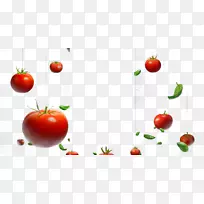 樱桃番茄汉堡蔬菜-番茄-空若网 樱桃番茄汉堡蔬菜-番茄-空若网