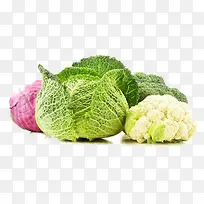 各种蔬菜图片-空若网 各种蔬菜图片-空若网