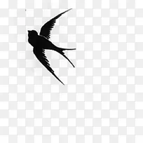 ��ɫˮ����ƴ���-������