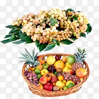 水果 水果拼盘 苹果 葡萄 梨子-空若网 水果 水果拼盘 苹果 葡萄 梨子-空若网