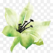 水仙花水彩画无框画-空若网 水仙花水彩画无框画-空若网