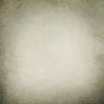 ǽ�ڱ�������-������