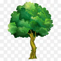 树 树木-空若网 树 树木-空若网