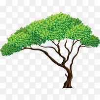 �� ��ľ-������