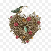 小鸟-空若网 小鸟-空若网