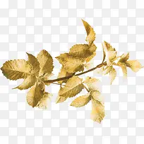 金色枝叶-空若网 金色枝叶-空若网