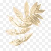 金色枝叶-空若网 金色枝叶-空若网