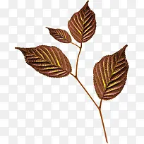 金色枝叶-空若网 金色枝叶-空若网